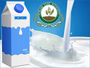 پنجاب حکومت کی ملاوٹ سے پاک دودھ کی فراہمی کے منصوبے کی تیاریاں مکمل