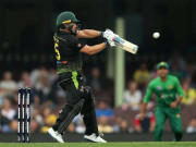 پاکستان سے مقابلہ بے نتیجہ آسٹریلوی کپتان آئی سی سی قوانین پر معترض