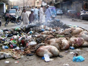 آلائشوں کے جراثیم سے سانس اورگلے کے امراض پھیلنے کا خدشہ