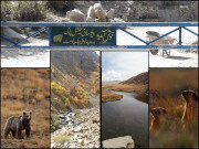 دیوسائی میں ایک دن