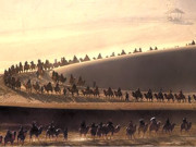 چین میں اونٹوں کی سب سے بڑی دوڑ