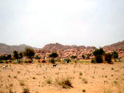 تھر میں موت کا رقص انسانیت دکھی