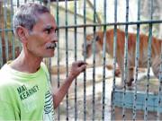 حاضر دماغی ہی جانوروں کے پنجوں اورجبڑوں سے بچاتی ہے زوکیپر