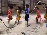 بچیوں کی مردہ سانپ سے رسی کودنے کی ویڈیو وائرل