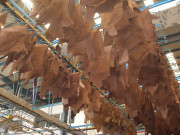 کورنگی ٹینری زون کے کمبائنڈٹریٹمنٹ پلانٹ کی بندش کانوٹس 