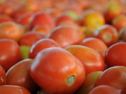 ٹماٹر کی گرتی ہوتی ہوئی قیمت کو پھر پَر لگ گئے