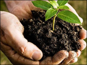 بنجر زمینوں کےلیے بایو آرگینک مائع کھاد کا استعمال