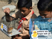 بچوں کی توجہ اسمارٹ فون سے ہٹانے کے لیے چوزوں کی تقسیم