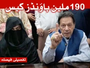 کون مجرم؟ کس نے سہولت کاری کی، کسے اشتہاری قرار دیا گیا؟ تفصیلی فیصلہ