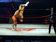 انٹرنیشنل ریسلرز 21 دسمبر کو کراچی میں فائٹ کرتے دکھائی دیں گے