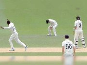 جوئے ڈینیلی نے ولیمسن کا آسان کیچ ڈراپ کرکے خود کو مذاق کا نشانہ بنالیا