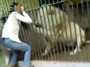 کراچی چڑیا گھر میں ببر شیر نے ملازم کا ہاتھ دبوچ لیا