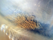 مریخ کی سیر میں شمولیت شرعاً جائز نہیں سعودی عالم دین