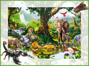 ہزاروں حیوانی اور نباتاتی نسلیں معدومیت کے خطرے سے دوچار