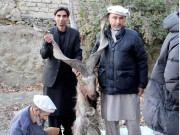 چترال میں امریکی شہری نے 2 کروڑ17 لاکھ روپے کے عوض مارخورکا شکارکیا