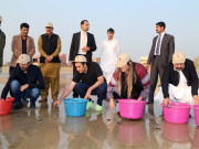 بلاول اور بختاور نے کچھوؤں کے بچے سمندر میں چھوڑ دیے