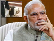 منہ کے بل مودی جی