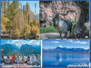  قدیم دور میں مارخور کے سینگوں سے پہاڑی نہریں کھودی جاتی تھیں