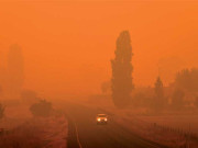 آسٹریلیا جنگل میں آگ آسمان نارنجی رنگ میں تبدیل ہوگیا