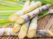 شوگر مل مالکان نے گنے کی خریداری روک کر ملیں بند کردیں