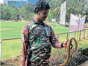 ممبئی کا کرکٹ گراؤنڈ سانپوں کی آماجگاہ پکڑنے کیلیے ماہرین کا تقرر