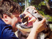 شیروں کے ساتھ رہنے والا برازیلی خاندان