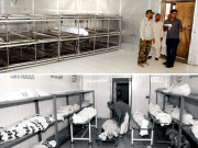 سرد خانوں کی خنکی اور تاریکی میں ڈوبی دنیا سے وابستہ افراد اپنے تجربات بیان کرتے ہیں 