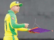 پہلے ون ڈے انٹرنیشنل کے دوران ایک پتنگ نے کھیل رکوا دیا