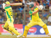 کینگروز نے گھر میں گھس کر بھارت کا شکار کر لیا