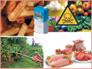 مضر صحت غذاؤں کے نقصانات سے کیسے محفوظ رہیں