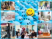 اگر آپ بیمار نہیں ہونا چاہتے