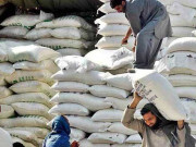 وزیر اعلیٰ بلوچستان کی انتظامیہ کو آٹے کی اسمگلنگ کی روک تھام یقینی بنانے کی ہدایت