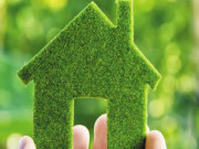 گھر کی آلودہ فضا کو خوشگوار کیسے بنائیں