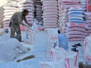 کراچی میں آٹے کی سپلائی میں بہتری ذخیرہ شدہ گندم بھی مارکیٹ میں آگئی