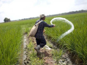 جی آئی ڈی سی کا خاتمہ فرٹیلائزرانڈسٹری میں اختلافات کا باعث بن گیا