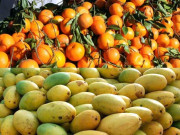 پاکستانی آم اور کینو کے لیے افریقی مارکیٹ کھلنے کے امکانات روشن