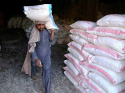 کراچی میں گندم اور آٹے کی قیمتوں کا بحران ختم نہ ہوسکا 