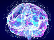 فالج کے بعد دماغ سے فاسد مواد نکالنے والا قدرتی نظام دریافت