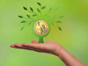 کلائمیٹ فنانسنگ لمحہ ٔ موجود کی ضرورت اور نفع بخش سرمایہ کاری