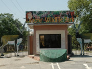 پنجاب میں چڑیا گھروں اورپارکس کے منصوبے ترجیحی بنیادوں پرمکمل کرنے کا فیصلہ