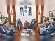 شیخ رشید کی وزیر اعلیٰ مراد شاہ سے ملاقات کراچی سرکلر ریلوے کے زیر التوا مسائل حل کرنے کا فیصلہ