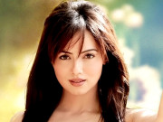 ثنا خان فلم ’’جے ہو‘‘ میں سلمان خان کے ساتھ جلوہ گر ہوں گی