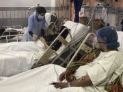 کراچی میں زہریلی گیس سے ہلاکتیں حکام نے امریکی سویابین کو کلین چٹ دے دی