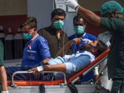 سویا بین ڈسٹ کے حوالے سے محکمہ صحت سندھ  کی ایڈوائزری جاری