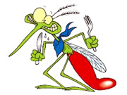 مچھر کیوں کاٹتے ہیں کن کو کاٹتے ہیں اور کب کاٹتے ہیں  