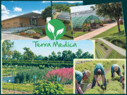 ٹیرا میڈیکا terra medica  دواؤں کو زمین سے اُگتا دیکھیے