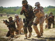 دہشتگردی کے خلاف آپریشن ردالفساد کو3 سال مکمل