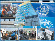 اقوام متحدہ کا چارٹر اور ماتحت ادارے