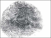 جرائم پیشہ افراد کے فنگر پرنٹس محفوظ کرنے کا منصوبہ تیار