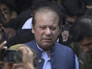 پنجاب حکومت کا نوازشریف کے خلاف کارروائی کے لیے وفاق سے رابطہ